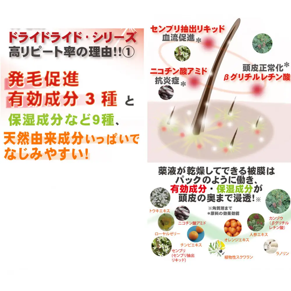 【黒髪向け】医薬部外品 育毛・発毛促進剤 ドライドライド クイックインパクト 120mL