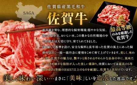 博多和牛 スライス（モモ）400g × 2パック ＋佐賀牛 切り落とし 400g 合計1.2kg 和牛 牛 牛肉 うし 肉 お肉 赤身 肩肉 バラ肉 モモ