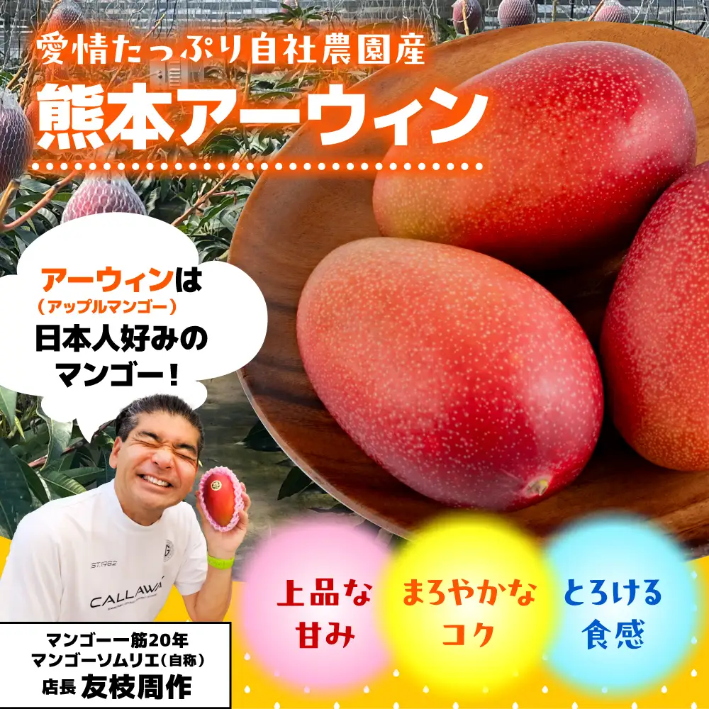 【ふるなびWEEK対象】【2026年6月より発送】秀品 菊池マンゴー 約1kg 友枝マンゴー農園[AYDF003]
