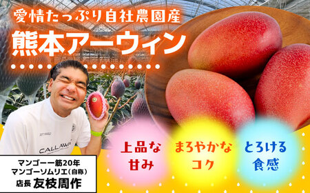 【2026年6月より発送】秀品 菊池マンゴー約2kg 友枝マンゴー農園[AYDF004]