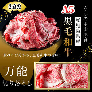 【定期便全3回】＜A4・A5等級＞黒毛和牛堪能〈お試し〉定期便（5～6人分）総重量1.8kg 鹿児島県産 黒毛和牛 和牛 肉 牛肉 国産 九州産 鹿児島県産 焼肉 焼き肉 BBQ ランキング 人気 A4 A5 赤身 切り落とし カルビ お楽しみ 食べ比べ 5人前 6人前 t0058-003