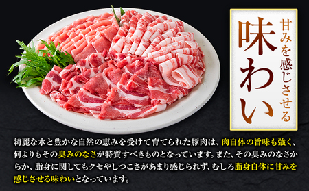豚肉 小分け しゃぶしゃぶ 豚バラ 豚ロース 熊本 うまか ポーク スライス トレー 3kg《30日以内に出荷予定(土日祝除く)》 豚しゃぶ 3種豚バラエティー セット 小分け スライス