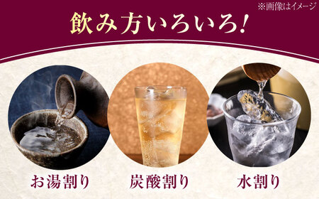 【全6回】芋焼酎 安納芋720ml×2 焼酎[XAD080]