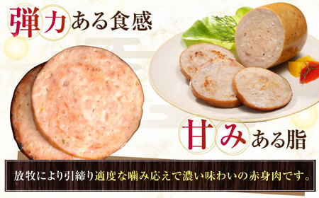放牧豚 ボロニアミニソーセージ 計1，080g（180g×6） 豚肉 ソーセージ 無添加 無塩せき 北海道 [AXBA107]