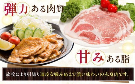 放牧豚 放牧豚 肩ロース生姜焼き 計680g（170g×4） 精肉 豚肉 小分け 冷凍 北海道 [AXBA124]