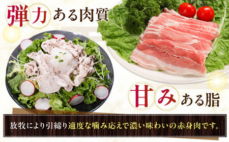 放牧豚バラしゃぶしゃぶ 計1200g（200g×6） 精肉 スライス 薄切り 小分け 冷凍 北海道 [AXBA129]