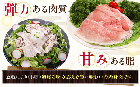 放牧豚モモ しゃぶしゃぶ 計400g（200g×2） 精肉 スライス 薄切り 小分け 冷凍 北海道 [AXBA133]