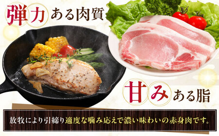放牧豚ロース 厚切り 計400g（200g×2） [AXBA139]