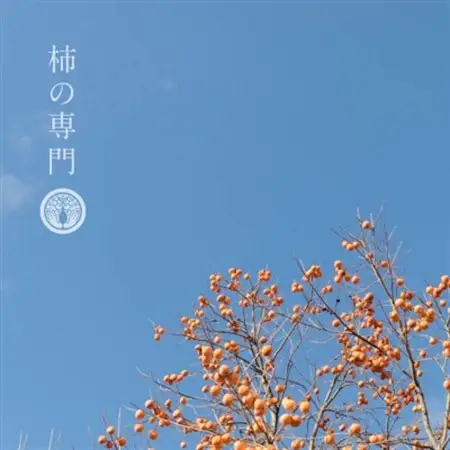 【奈良県天理市】有機JAS認証  国産　柿の葉茶　350ml×24本【1647292】