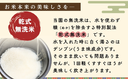 令和7年産 こしひかり 精米 5kg【無洗米真空パック】こしひかり 7-50