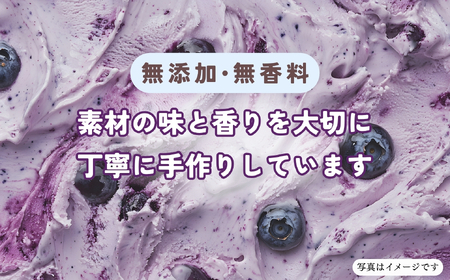 【ジェラート】ブルーベリー姫 8個 （Br-001）ジェラート