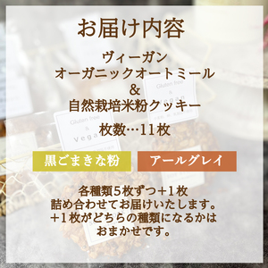 クッキー 11枚 ヴィーガン クッキー KF