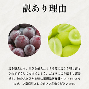 訳あり シャインマスカット 4パック 粒でお届け  