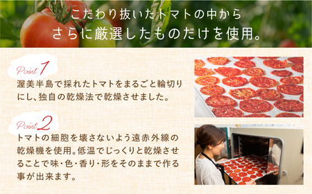 【トマト農家が本気で作った】ウエタトマトdeドライトマト 15g×3袋 愛知県 田原市産
