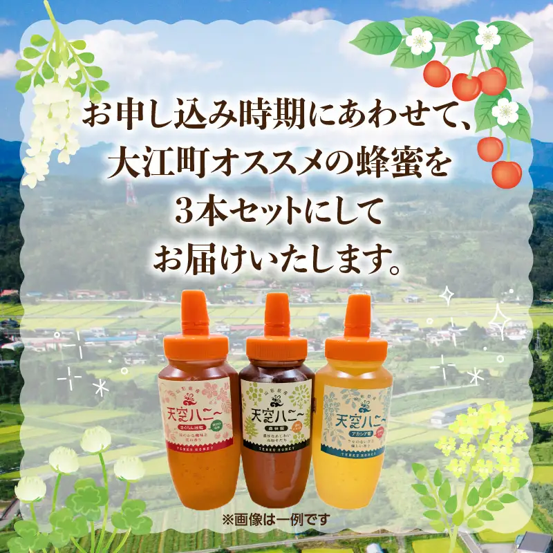 004-011 天空ハニー蜂蜜3点セット【道の駅おおえ】