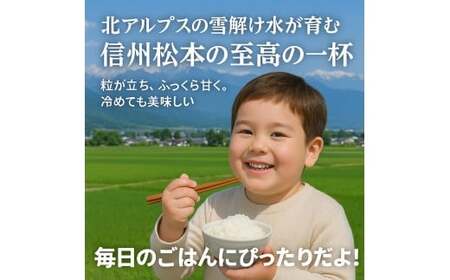 上高地清流米 こしひかり 松本産 白米 2合(300g) 1袋 