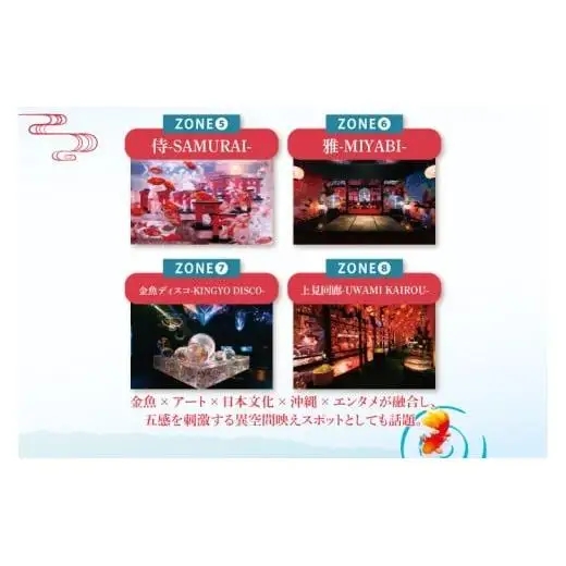 沖縄金魚ミュージアム入場券　子供1名