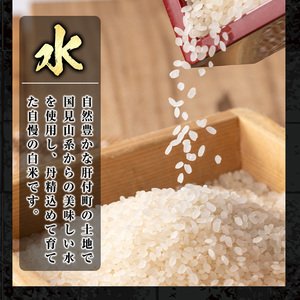 【A91033】令和7年産 鹿児島県産 なつほのか (計10kg・5kg×2袋) 国産 自家精米 精米 白米 ごはん ご飯 お米 コメ こめ【新村畜産】