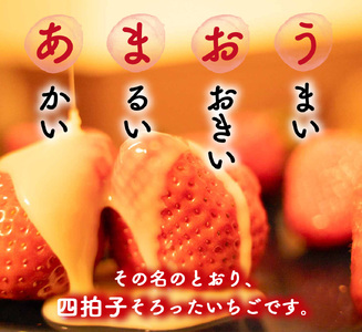 いちご あまおう【26年12月以降順次発送予定】計500g 250g×2P |イチゴ エフビーネット as47-001