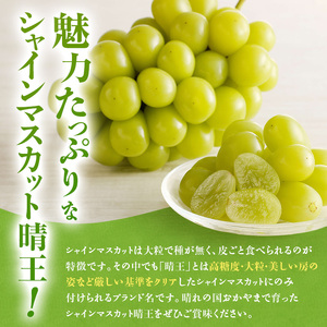 ぶどう 2026年 先行受付 シャインマスカット 晴王 秀品 大房 約2kg(2～5房) 岡山