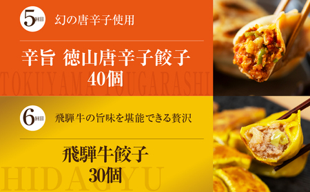 【定期便6回】餃子 バラエティ（辛餃子あり）人気 餃子 食べ比べ [mt1863] 
