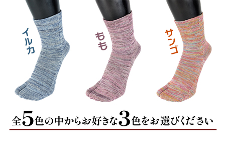 [タビソックス]「雅 (MIYABI)」くちゴムゆったりタイプ 3足セット (23cm～25cm／S) [2995]