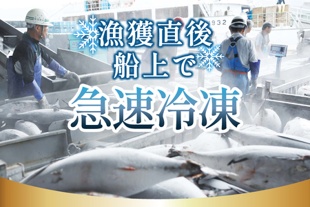亀洋丸のお刺身用戻りかつおとかつおタタキのセット（各1筋） [阿部長商店 宮城県 気仙沼市 20565601]