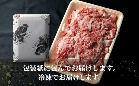 【定期便全3回】飛騨牛 訳あり 切り落とし 600g ｜牛肉 定期便 丸明 LR104