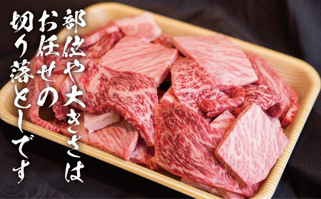 【定期便全3回】飛騨牛 訳あり焼肉1kg 切り落とし｜2ヶ月に1回 牛肉 訳あり 丸明 LR105