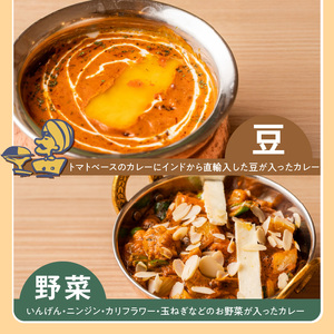 【中辛】ビスヌ 本格カレー　シェフのおすすめ10食_ビスヌ 本格 カレー シェフ おすすめ 10食 バターチキン 豆 海老 チキン 野菜 各 2個 中辛 インドカレー スパイス こだわり インド 直輸入 Aランク できたて 冷凍 真空パック お取り寄せ 福岡県 久留米市 送料無料 〔Ca047-02〕