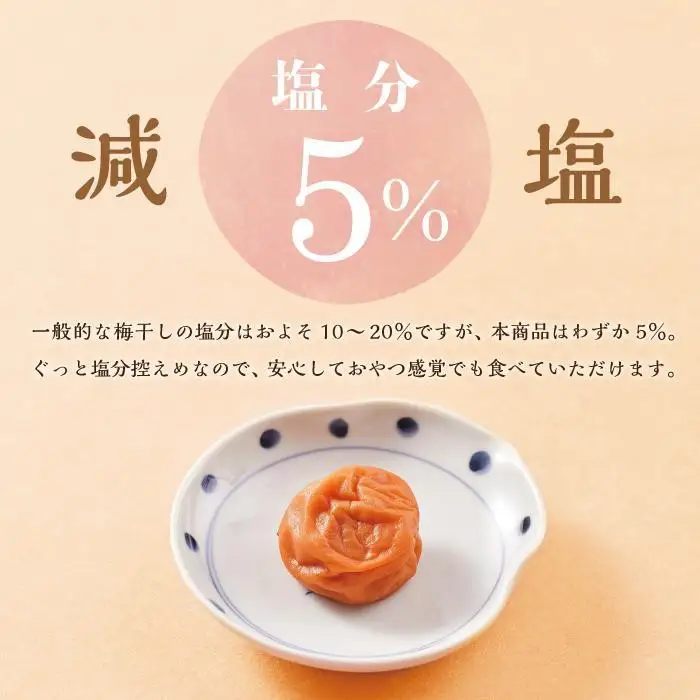 紀州南高梅 訳あり はちみつ梅 塩分5％ 1.2kg（300g×4パック）
