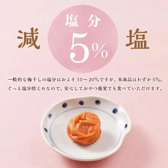 紀州南高梅 訳あり はちみつ梅 塩分5％ 2.4kg（300g×8パック）