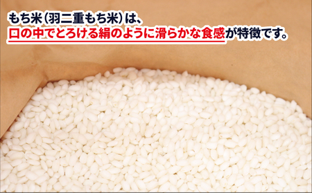 もち米 羽二重 もち米 3kg ワールドファーマーズ G010-024029