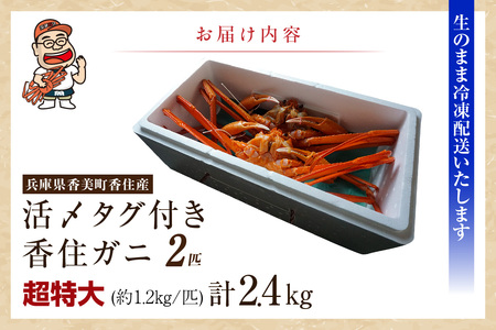 《先行予約》香住ガニ 活〆 タグ付き 超特々大 約1.2kg×2匹（合計約2.4kg以上）冷凍【令和9年2月中旬以降発送予定】カニ かに 07-136