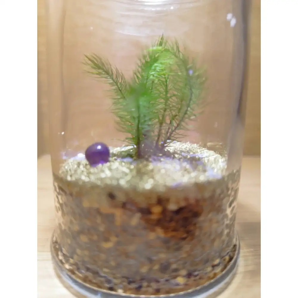 KOBE　COLORS　～STONE & MOSS～