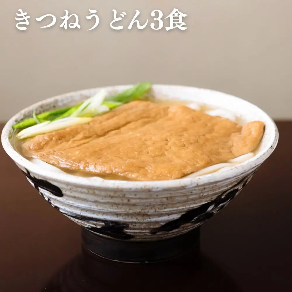 【山元麺蔵】行列店の人気うどんセット6食入り(きつねうどん3食、牛と土ごぼうのつけ麺3食)｜京都 手打ちうどん ミシュラン掲載 人気セット