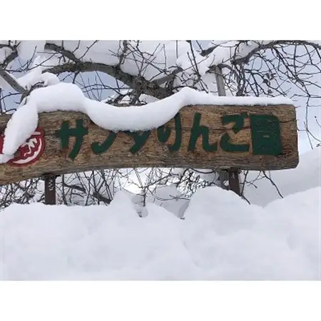 青森県産　黄王(きおう)　家庭用　約3kg　和梨の様なシャキシャキ食感の、軽やかな甘さの夏りんご【配送不可地域：離島】【1648704】