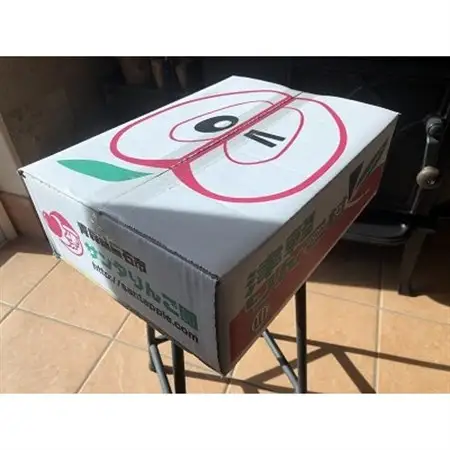 青森県産　黄王(きおう)　贈答用　約3kg　和梨の様なシャキシャキ食感の、軽やかな甘さの夏りんご【配送不可地域：離島】【1648749】