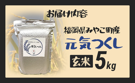 米 令和8年産 元気つくし（玄米） 5kg チャック付き チャック 防虫 ごはん おにぎり おやつ 福岡県 みやこ町産 福岡 九州 グルメ お取り寄せ