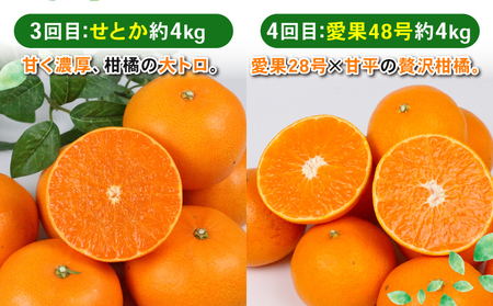 季節の 愛媛みかん 4回定期便 Shirai.agrifarm 愛果28号 甘平 せとか 愛果48号 みかん定期便 柑橘定期便 みかん 果物 くだもの フルーツ 柑橘 蜜柑 あいか かんぺい 高級 美味しい 産直 ていきびん 産地直送 農家直送 数量限定 国産 愛媛 宇和島 B090-115010