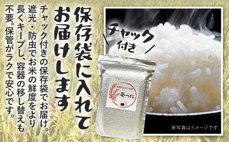 米 無洗米 令和8年産 元気つくし 5kg 精米 福岡県 みやこ町産 チャック付き チャック 防虫 ごはん おにぎり 福岡 九州 グルメ お取り寄せ