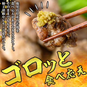 鹿児島県産！鶏の炭火焼き(計340g・170g×2袋) 国産 九州産 鹿児島産 鶏肉 とり肉 お肉 若鳥 若鶏 もも肉 むね肉 焼き鳥 やきとり 炭火焼 鶏炭火焼き 鶏炭火焼 真空パック 真空 おかず おつまみ 【ほかむら】_y564