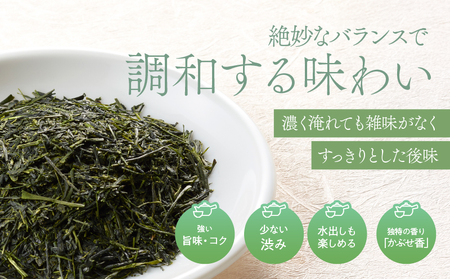 特上煎茶 清紹庵 500g（ 100g×5本 ） KN162-001-03 茶