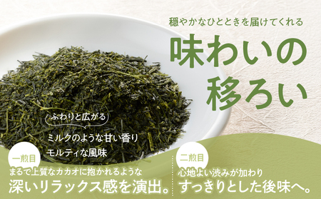ホッとするね いつもの お茶 100g（ 100g×1本 ） KN162-002-01 茶