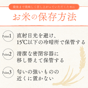 【3ヶ月定期便】きぬひかり 5kg 令和7年産 キヌヒカリ 定期便 お米 米