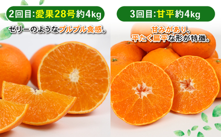 フルーツ 【5回コース】 Shirai.agrifarm 定期便 B105-115011