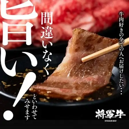 【将軍牛】特選焼肉セット ロース カルビ もも 3種類 500g【配送不可地域：離島・北海道・沖縄県】【1652110】
