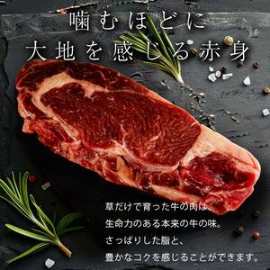 【十勝オーガニック放牧牛(グラスフェッドビーフ)モモブロック～ローストビーフなどに～ 】(600g) もも肉 お肉 焼肉 バーベキュー BBQ お肉 トカプチ農場 F21P-1145