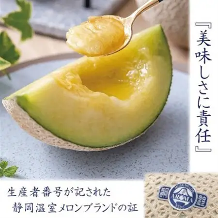 【毎月定期便】【高級メロンの訳あり品】アローマメロン1玉　全5回【配送不可地域：離島・北海道・沖縄県】【4071934】