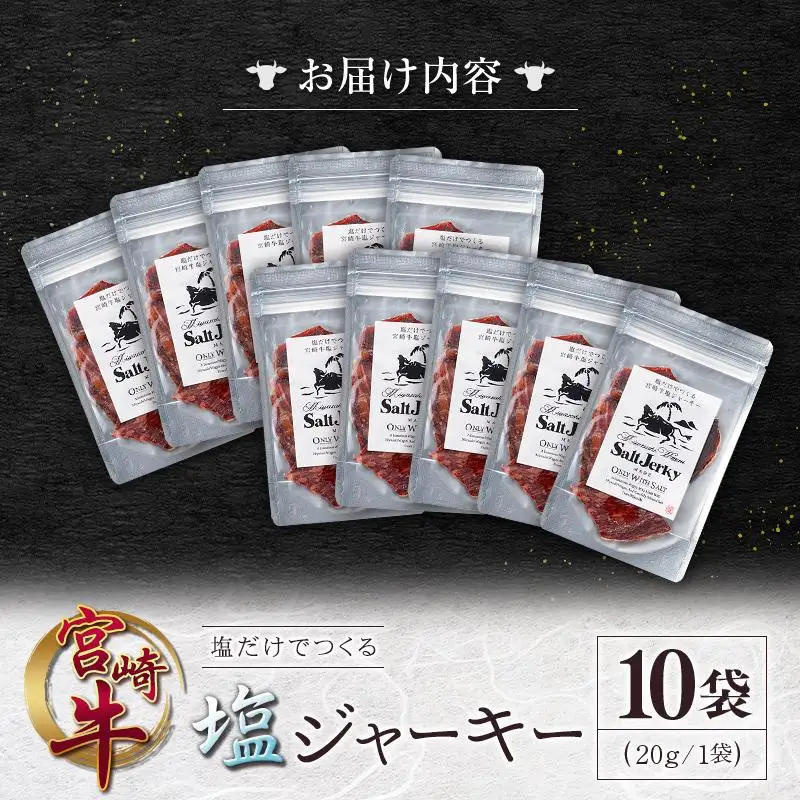 塩だけでつくる 宮崎牛 塩ジャーキー 10袋（20g×10袋）ブランド牛 ビーフジャーキー おつまみ 珍味 グルメ 干し肉 宮崎県産